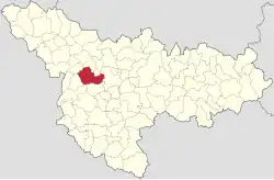 Location in Timiș County