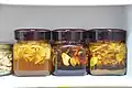 Saenggang-cheong (preserved ginger) made for saenggang-cha (ginger tea)