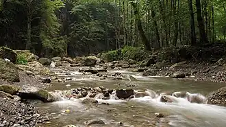 Sakht Sar Rural District, Mazandaran
