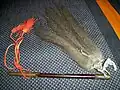 Edo period commanders baton "saihai" with a yak hair tassle