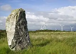 Standing-stone on St Breock Downs