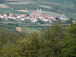 The village of Saint-Didier-sous-Riverie in the middle of orchards.