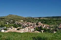 A general view of Salsigne