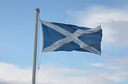 The flag of Scotland (1:2 proportion)