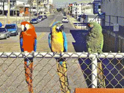 Mode 4 example image