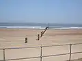 Sandilands beach