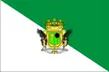Flag of Santa Brígida