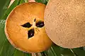 Naseberry