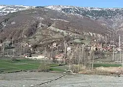Sarıdibek