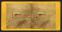 Sawmill