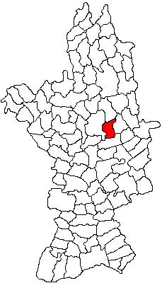 Location in Olt County