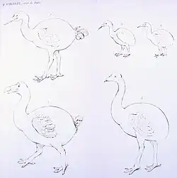 Simple drawing