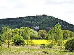 Schloss Town, Elderberg Hill