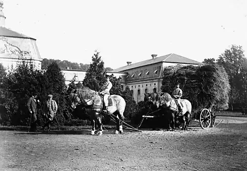 Pulling a hay wain at Schloss Wickrath, about 1900