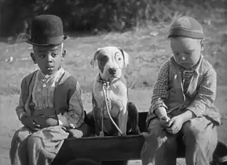 A black and white photographs of a small pit bull terrier puppy sitting between two young boys.