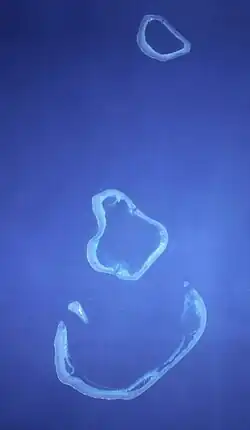 Image of Scott and Seringapatam Reefs taken from spacecraft at 359&nbsp;km altitude on 29 November 1996.