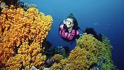 Scuba off South Caicos Island