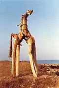 Sea Horse (1986)
