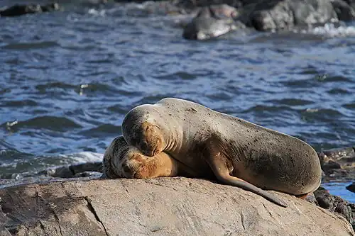 Beagle Channel, Tierra del Fuego