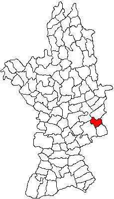 Location in Olt County