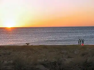 The beach at Seacliff