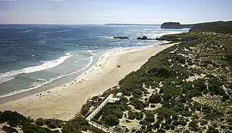 View (looking west) from within the Seal Bay Conservation Park