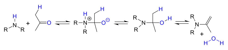 enamine formation by reaction of amine with carbonyl