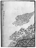Ubagabi (ja:姥ヶ火). Sekien's comments: It is said to appear in Kawachi Province.