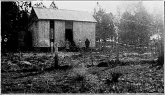 Selector's house in Blythdale during the period of prickly pear infestation, circa 1925