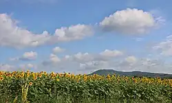 The village of Vrba (Jagodina), Serbia.