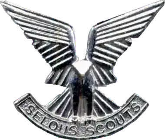 Cap badge of the Selous Scouts was a stylized osprey