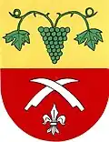 Coat of arms of Seloutky