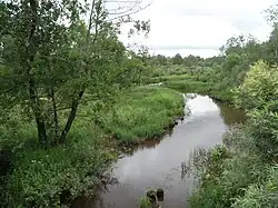 Senga River, Petushinsky District
