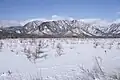 Winter