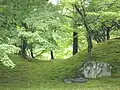 Mossy hills