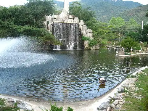Bird Island