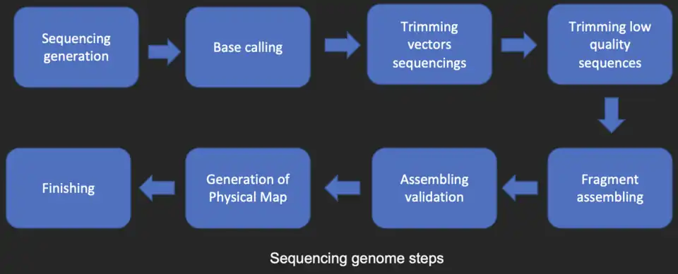 Image: 450 pixels Sequencing analysis steps