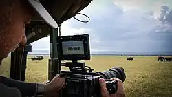 RED Epic Dragon capturing a safari
