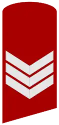 Three-bar chevron