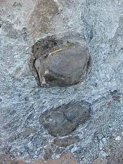 Rock outcrop of green scaly rock containing two large blocky lozenges of massive (non-scaly) rock. A yellow pencil serves as a sense of scale.