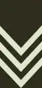 Sergeant (Seychelles Infantry Unit)[103]