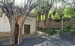The Bala Sheikhi neighborhood in the city of Shahmirzad