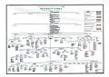 Comprehensive Genealogy of Shaykhan Family