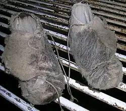 Shearers' moccasins on a wool rolling table.