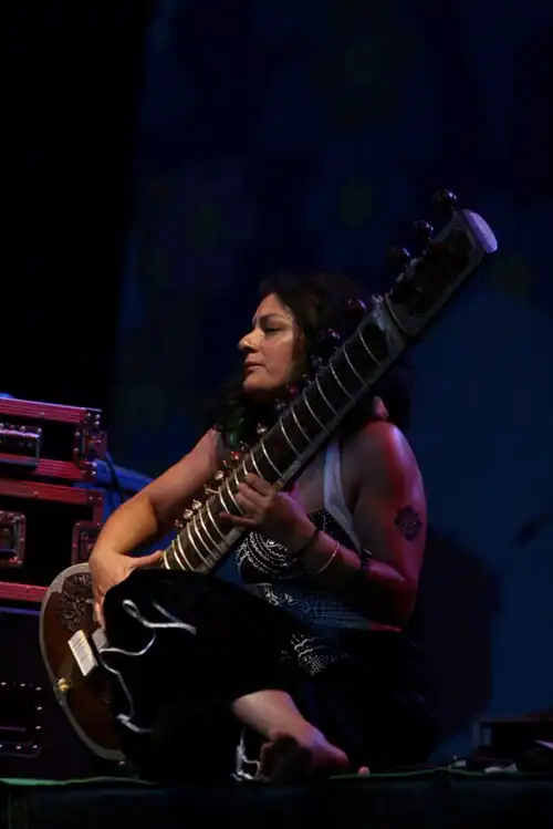 Sheema Mukherjee in concert, 2008