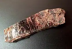 Glimmerite from Namibia