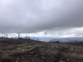 Cleared pine plantation area at Shelley, looking down towards Walwa