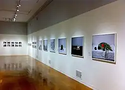 Gallery wall displaying several framed photographs.