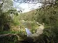 Millpond