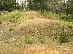 Shimokomatsu Kofun Cluster
